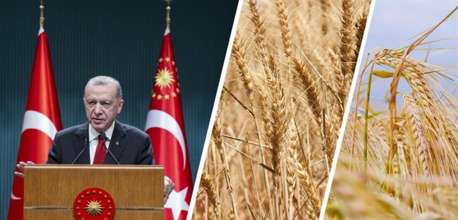2023 YILI BUĞDAY VE ARPA ALIM FİYATLARI BELİRLENDİ