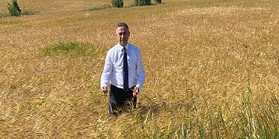 Çiftçi Perişan; Beklenen Fiyat Yok, Randevu Yok, Alım Yok…