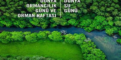 Sağlıklı Yaşam İçin Sağlıklı Ormanlar, Temiz Su