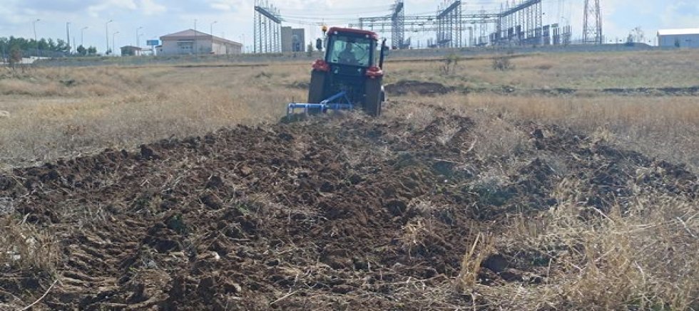 Bireylül Karma Sanayi Kooperatifi'nde Esnaf Ümidi Kesti Arpa Buğday Ekiyor