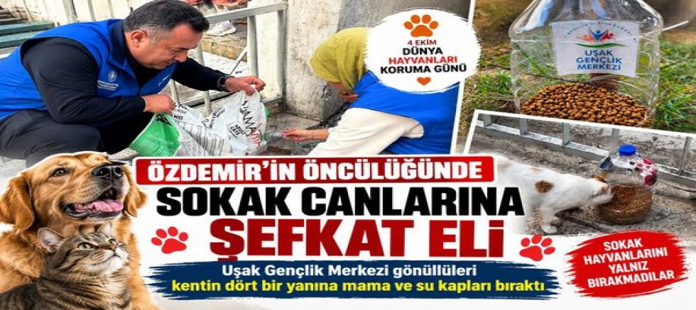 ÖZDEMİR’İN ÖNCÜLÜĞÜNDE SOKAK CANLARINA ŞEFKAT ELİ