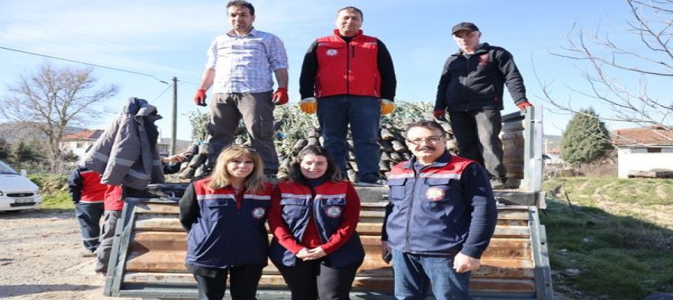 Uşak’ta Zeytinle Kırsal Kalkınma Hamlesi