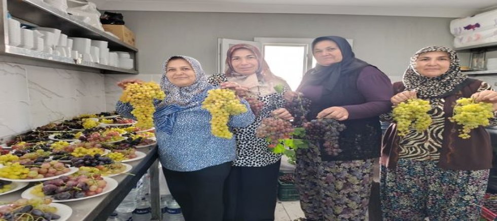 YÖRÜKLER MANİSA SANCAKLI İĞDECİK’DE BAĞBOZUMU VE YÖRÜK ŞENLİĞİNDE BULUŞTU
