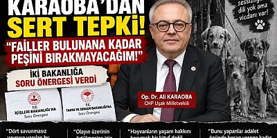 KARAOBA’DAN UŞAK’TAKİ HAYVAN VAHŞETİNE SERT TEPKİ: “FAİLLER BULUNANA KADAR PEŞİNİ BIRAKMAYACAĞIM”