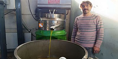 KÖPRÜBAŞI BORLU’DAKİ ZEYTİNYAĞI FABRİKASI TAM GAZ ÇALIŞIYOR