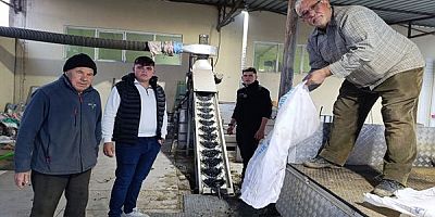 Köprübaşı'nda İlk Kurulan Zeytinyağı Fabrikası Sezonu Yoğun Geçiriyor