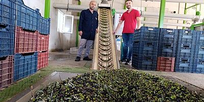 Köprübaşı'nda Zeytinyağı Sezonu Başladı