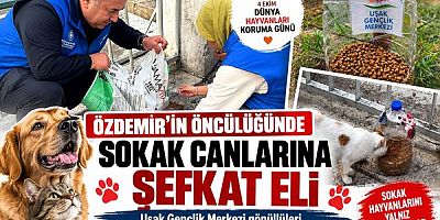 ÖZDEMİR’İN ÖNCÜLÜĞÜNDE SOKAK CANLARINA ŞEFKAT ELİ