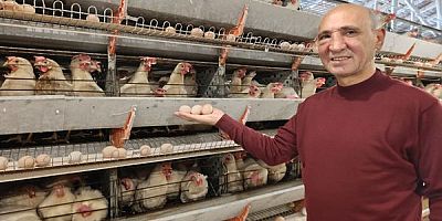 SİMAV’IN KUŞU BELDESİNDE 16 BİN TAVUKLA YUMURTA ÜRETİMİ BAŞLADI