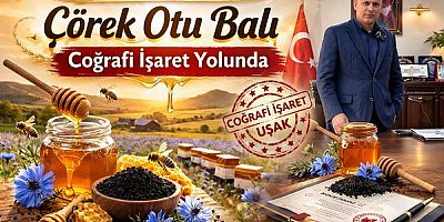 Uşak’ın Doğal Lezzeti Çörek Otu Balı Coğrafi İşaret Yolunda...