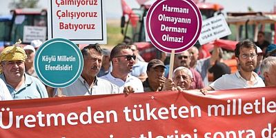 Uşak’lı Çiftçiler Kazanamıyoruz  Oda Başkanlarımız  Nerede