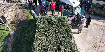 Uşak’ta Zeytinle Kırsal Kalkınma Hamlesi