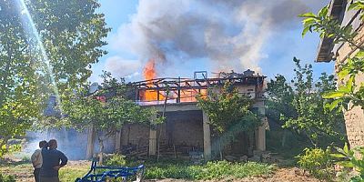 Yenierice Köyünde Korkutan Yangında Bir KişiHayatını Kaybetti