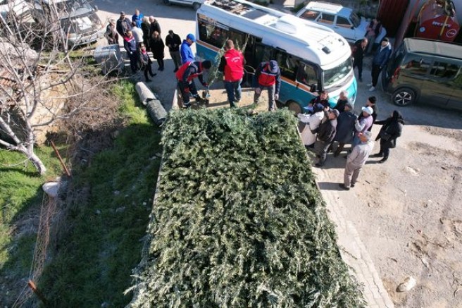 Uşak’ta Zeytinle Kırsal Kalkınma Hamlesi